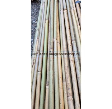 10 st. bamboestokken 4ft. 120 cm A-kwaliteit