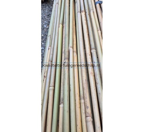 10 st. bamboestokken 4ft. 120 cm A-kwaliteit