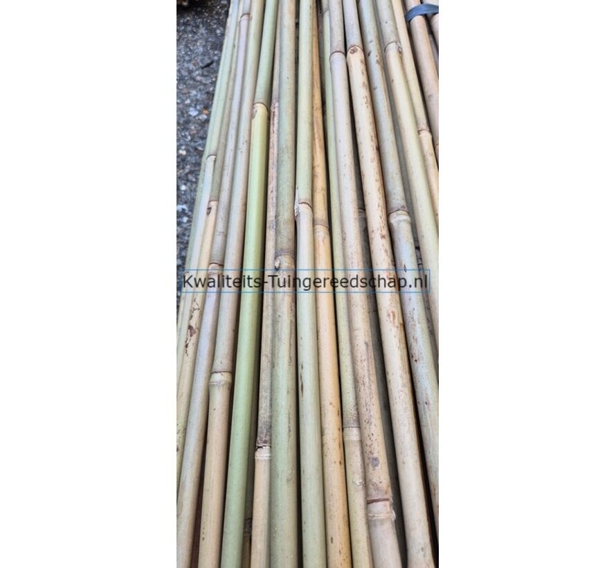10 st. bamboestokken 4ft. 120 cm A-kwaliteit