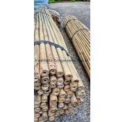 10 st. bamboestokken 5ft. 150 cm A-kwaliteit