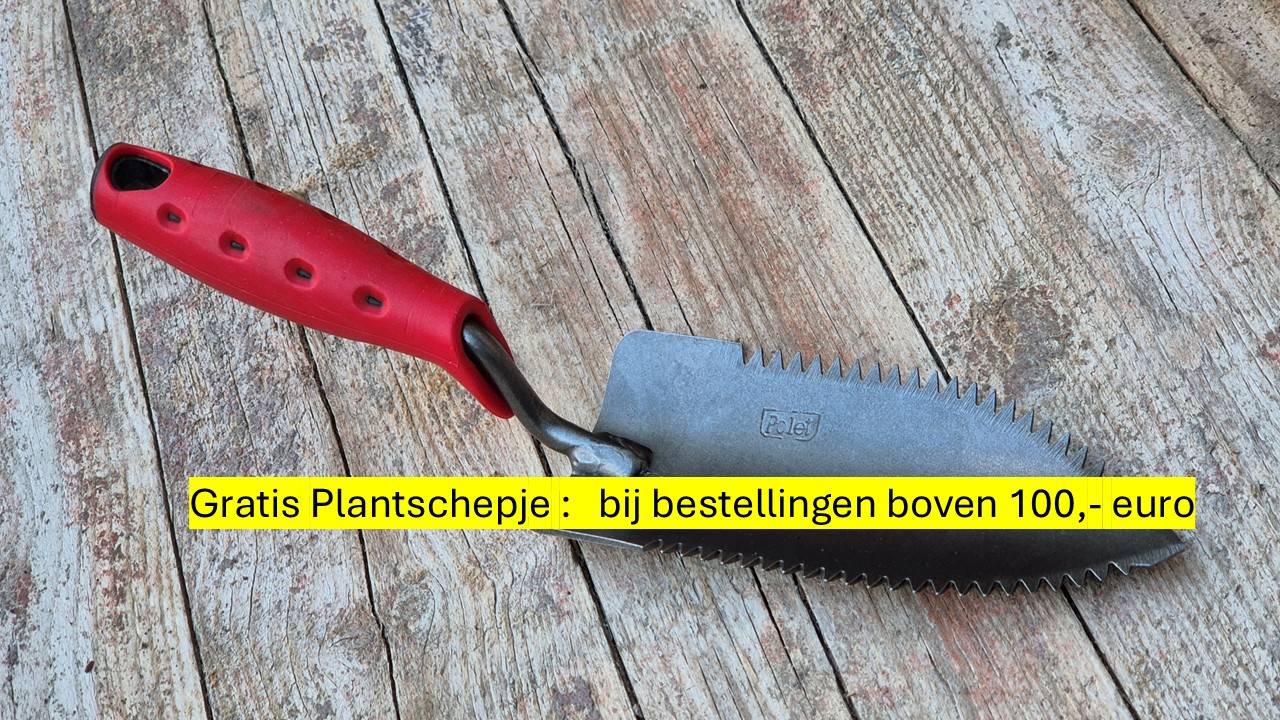 Kwaliteits-tuingereedschap.nl