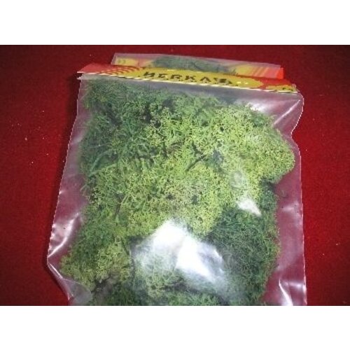 Berka Decoratie mos licht groen (100 gram) - Berka