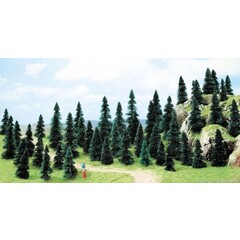 Busch 50 dennen steek (3- 5 cm)