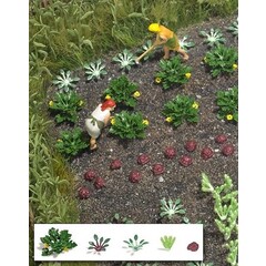 Busch Groente en sla planten 56 stuks