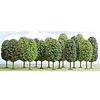 Busch 12 loofbomen voet (7 - 12,5 cm)