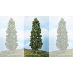 Heki Beukenboom 1 stuks (27 cm hoog)