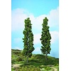 Heki Populieren 2 stuks (27 cm hoog)