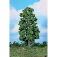 Heki Kastanje boom 1 stuks 30 cm hoog