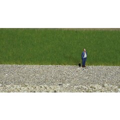 Noch Veldgras koeien weide 2,5 / 6mm lang (50gr)