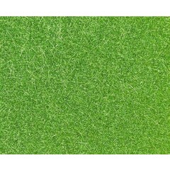 Noch Grasvezel wild gras mei groen 6mm lang (50g)