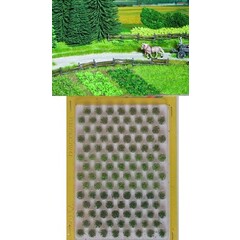 Noch Veldplanten (105 stuks)
