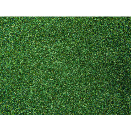 Noch Strooimateriaal veldgras 42 gram