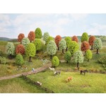 Noch 25 voorjaarsbomen (5 - 9 cm)