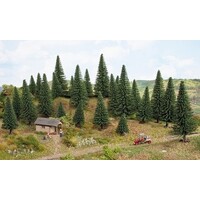 Noch 25 dennen bomen Steek (5 - 14 cm)