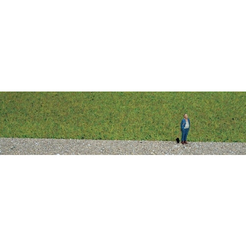Noch Veldgras zomer weide 2,5 / 6mm lang (50gr)