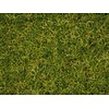 Noch Grasmix zomer weide 2,5 / 6mm lang (100gr)