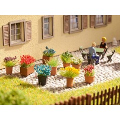 Noch Sierbloemen in potten 9 stuks
