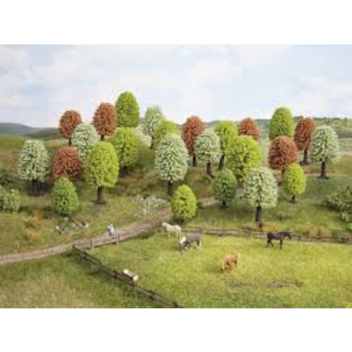 Noch 10 voorjaarsbomen (5 - 9 cm)
