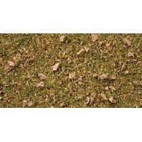 Noch Grasmix bergweide 2,5 / 6mm lang (pot 100gr)