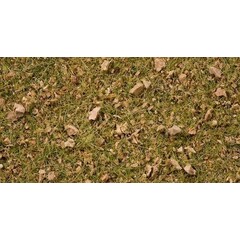 Noch Grasmix bergweide 2,5 / 6mm lang (pot 100gr)