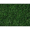 Noch Grasvezel wild gras XL donker groen 12mm lang (pot 80gr)