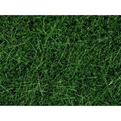 Noch Grasvezel wild gras XL donker groen 12mm lang (pot 80gr)