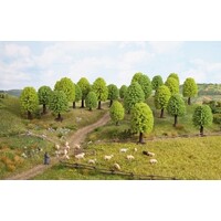 Noch 10 loofbomen (5 - 9 cm)