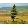 Noch Nordmann sparren boom (H 12cm)