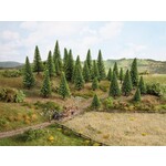 Noch 10 Sparren bomen Extra hoog (H 16-19cm)