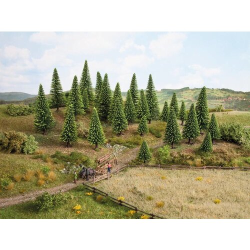 Noch 10 Sparren bomen Extra hoog (H 16-19cm)