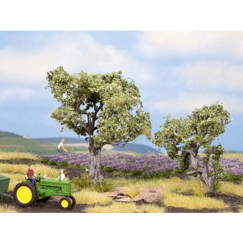 Noch Olijf bomen (H 6-9cm)