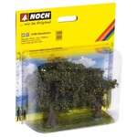 Noch Olijf bomen (H 6-9cm)