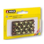 Noch Bloemkool veld met 16 planten 3 x 6 cm