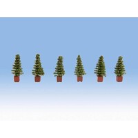 Noch Thuja coniferen in pot (6 stuks)