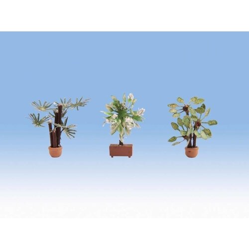 Noch Mediterraanse planten in pot (3 stuks)
