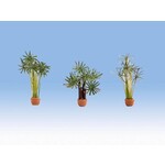 Noch Palmen in pot (3 stuks)