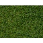 Noch Grasvezel wild gras licht groen 6mm lang (50g)