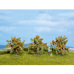Noch Sinasappelbomen 3 stuks (4 cm hoog)