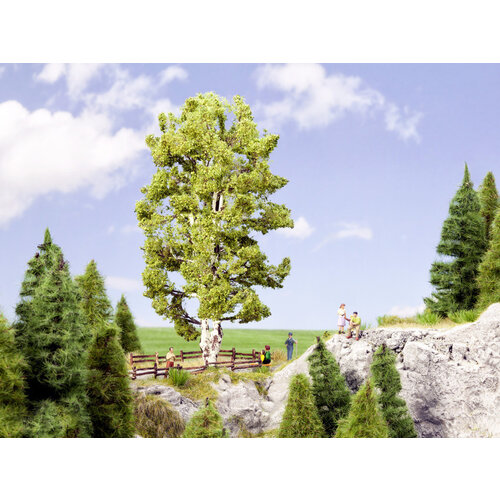 Noch Twee stammige berken boom (19 cm hoog)
