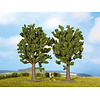 Noch Beuken bomen 2 stuks (13 cm hoog)