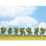 Noch Berken bomen 7 stuks (10 cm hoog)