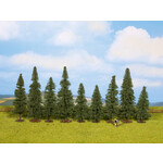 Noch Dennen bomen 9 stuks (8 - 12 cm hoog)