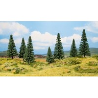 Noch Dennen bomen 7 stuks (8 - 14 cm hoog)