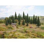 Noch Dennen bomen 15 stuks (5 - 9 cm hoog)