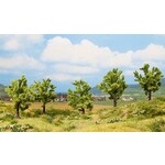 Noch Fruit bomen 5 stuks (8 cm hoog)