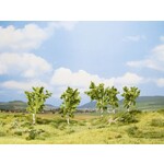 Noch Berken bomen 5 stuks (8 - 10 cm hoog)