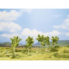 Noch Berken bomen 5 stuks (8 - 10 cm hoog)