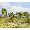 Noch Berken bomen Profi serie 4 stuks (11,5 cm hoog)