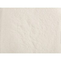 Noch Zand fijn wit (250 gr)