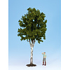 Noch Berk boom (35 cm hoog)